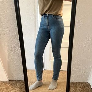 Everlane High Rise Skinny Ankle